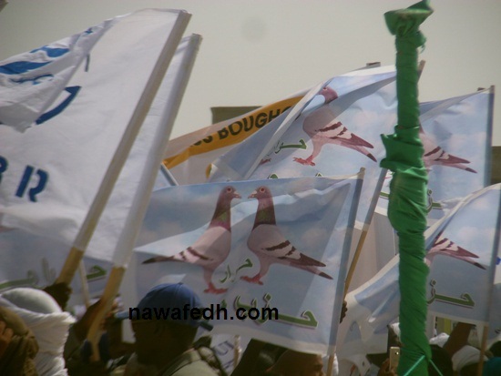 وكان للحمام دوره في الحوار 